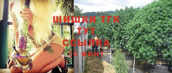 mdpv Елабуга