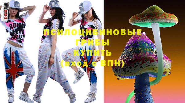 mdpv Елабуга