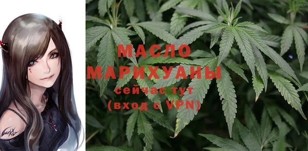 метадон Ельня