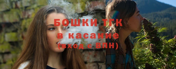 метадон Ельня